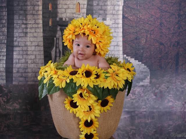 Acompanhamento de Valentina 3 meses