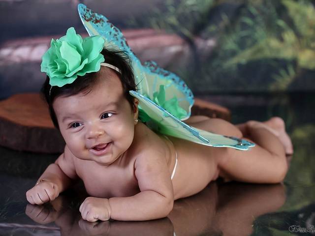 Acompanhamento de Diana Borboleta