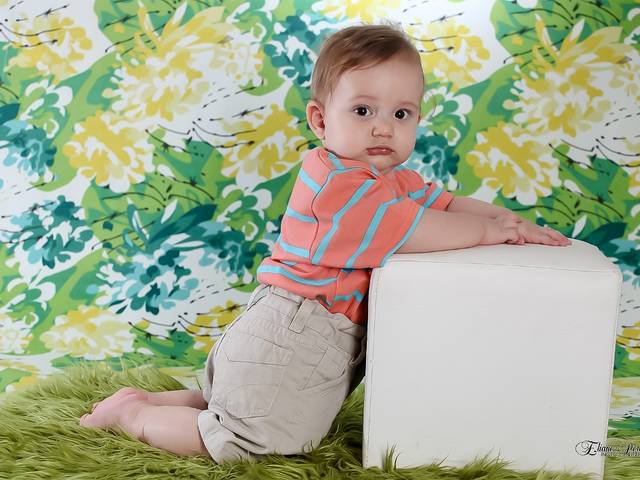 Acompanhamento de Pedro 8 meses