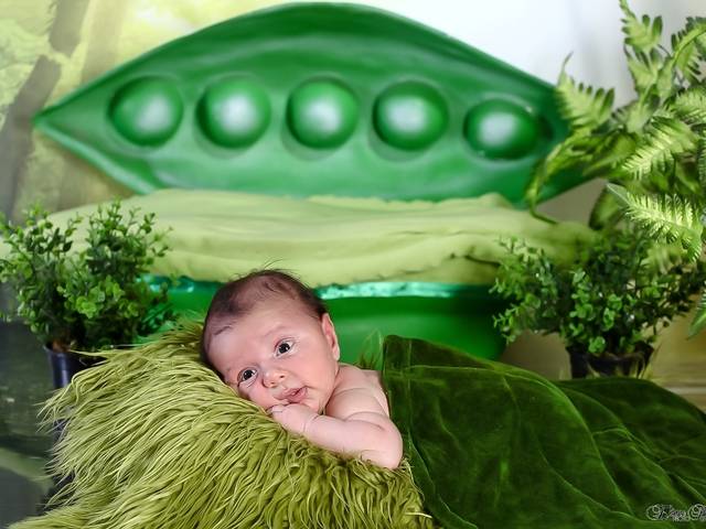 Acompanhamento de Felipe 1° mês