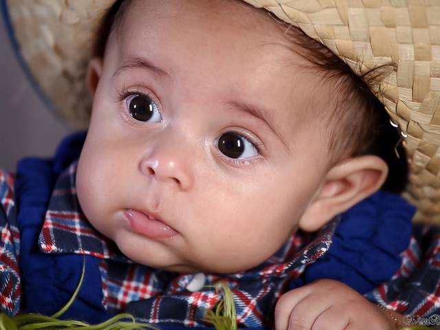 Ensaio Temático de Vinícius 4 meses