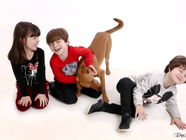 Família de Hulk e a turminha