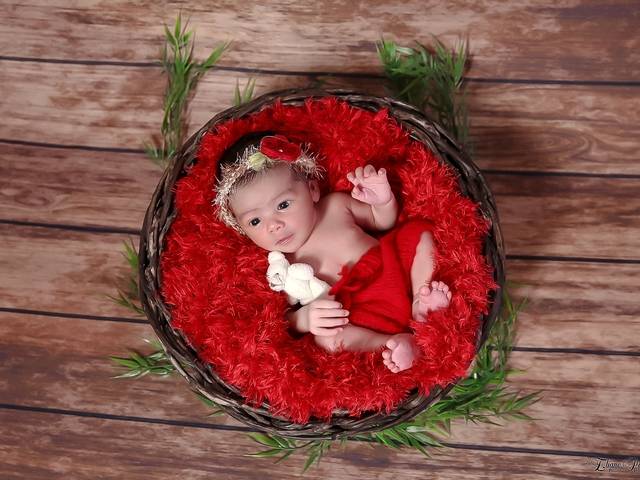 Newborn de Lorena 8 dias