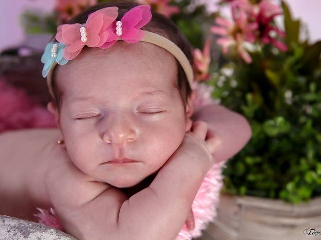 Acompanhamento de Julia 