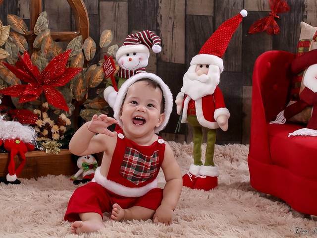 Ensaio Temático de Henrique 11 meses