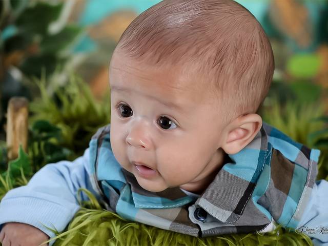 Acompanhamento de Dom 3 meses