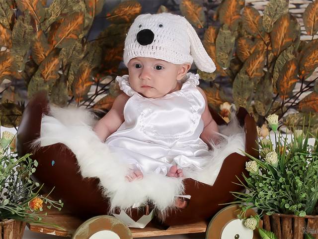 Acompanhamento de Henrique 2 meses