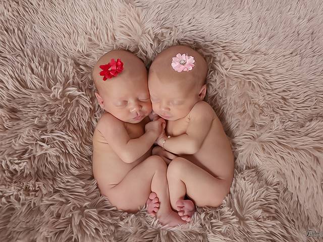 Newborn de Ellena e Eduarda gêmeas