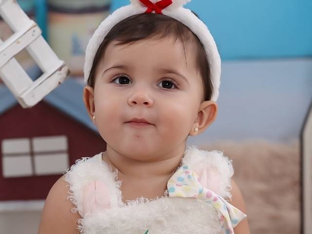 Ensaio Temático de Heloisa 11 meses