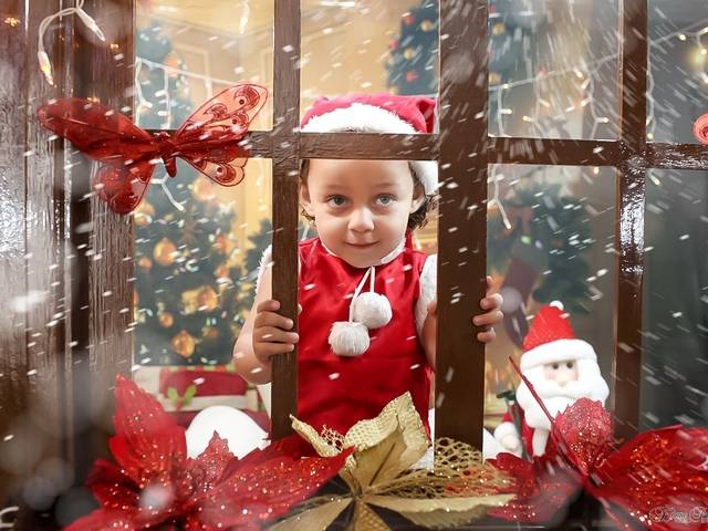 Ensaio Temático de Maria Teresa Natal