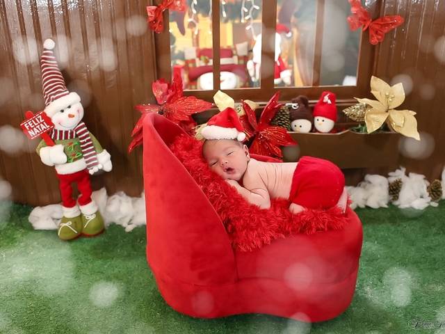 Ensaio Temático de Pedro Natal