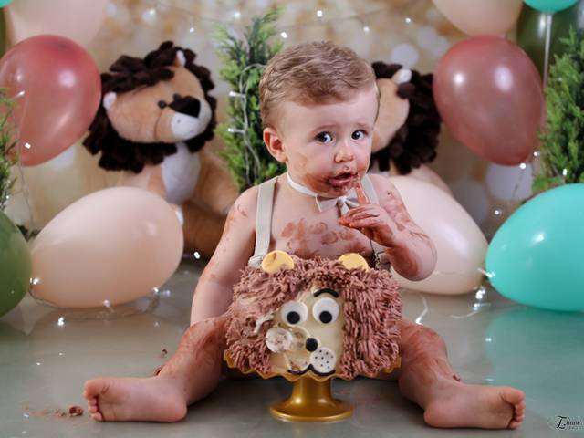 Smash the cake de Leonardo - Smash The Cake - Leãozinho