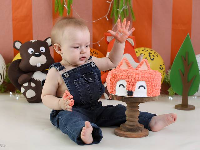 Smash the cake de Lucas - Smash The Cake - Bosque