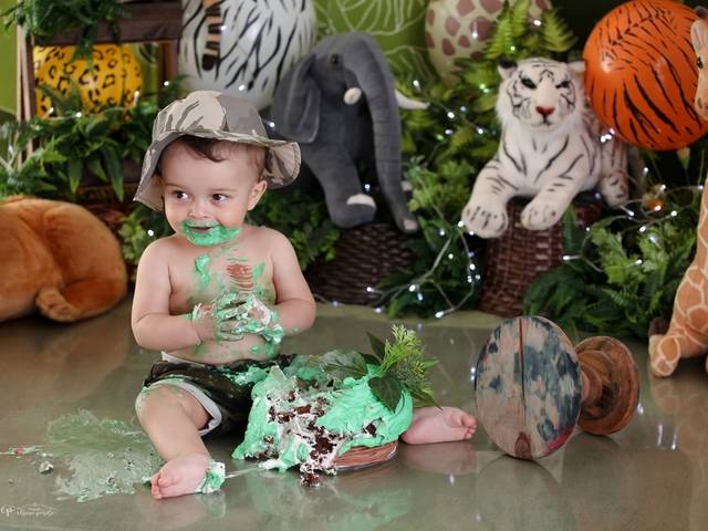 Smash the cake de Davi - Safari