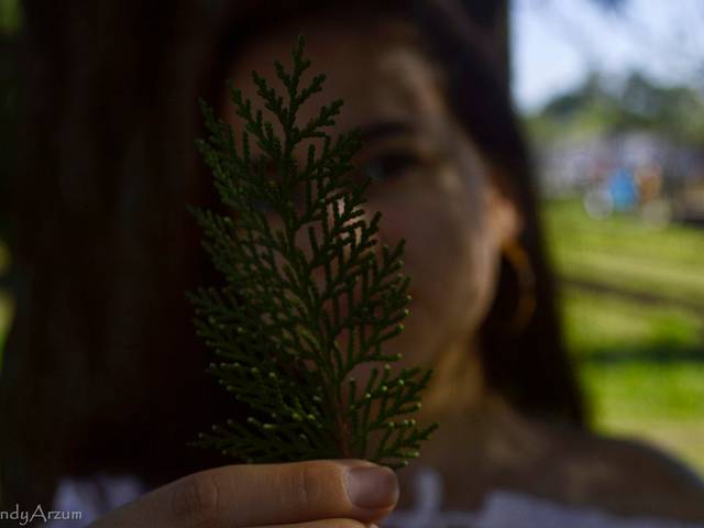 Fotografia de Ensaio Feminino 