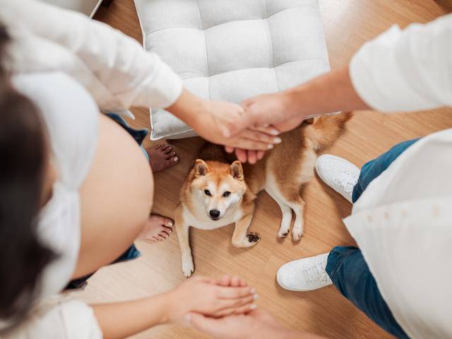 Gestante de Bruna + Bruno = Olivia 