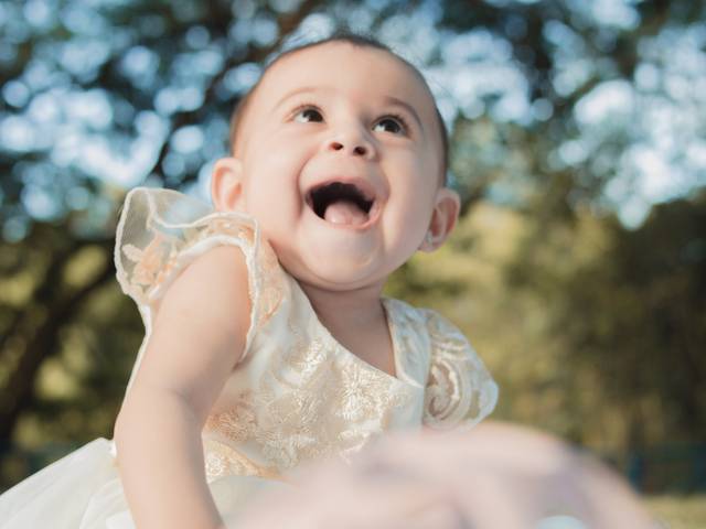 Família de Liz