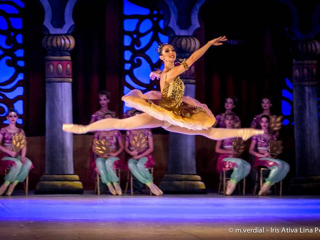 Fotografia de Dança e Ballet de La Bayadère - Academia Iris Ativa Lina Penteado, 2017.