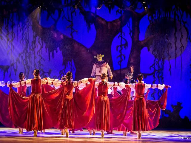 Fotografia de Dança e Ballet de Fotografo de Ballet Campinas - Marcelo Verdial - Shrek - Academia Iris Ativa Lina Penteado