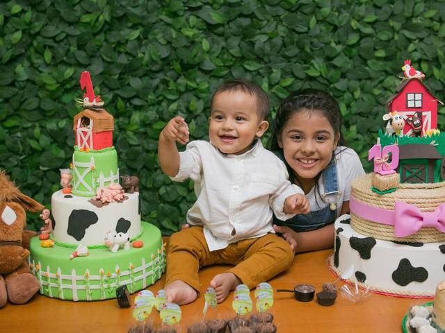 festas infantil de Henrique e Emilly