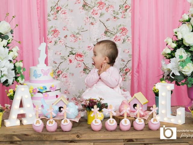 festas infantil de 1° aninho Ana Luiza