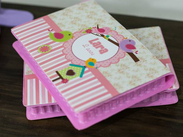 festas infantil de 2° aninho Lara