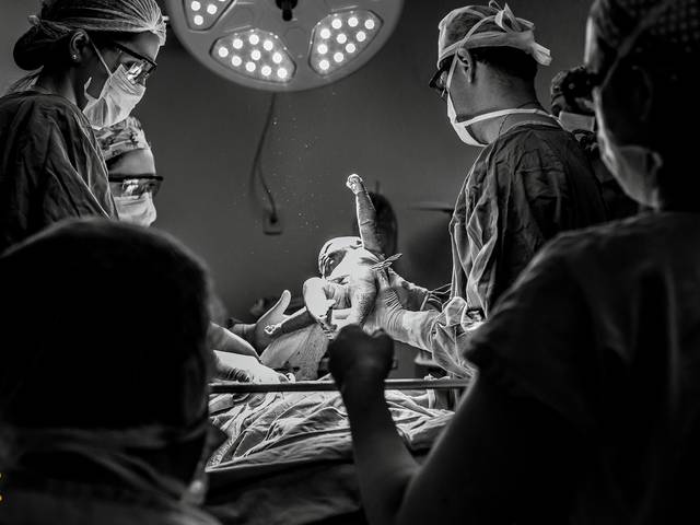 Nascimento de Nascimento - Sophia