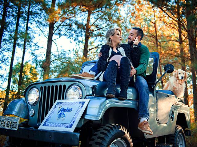 Gestante de Luciane Andres