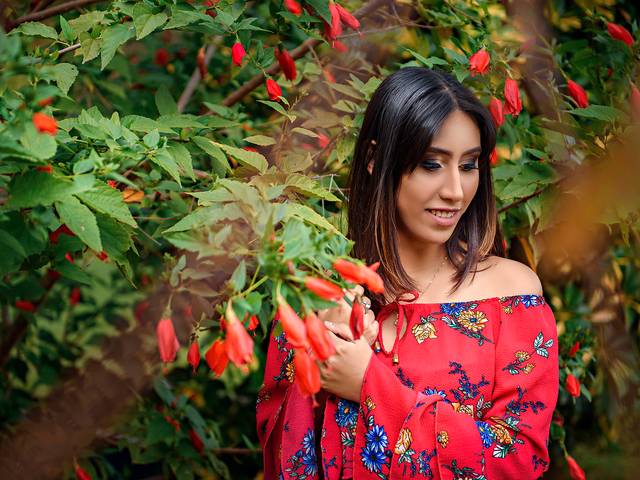 Book Feminino de Book 15 Anos Lorena