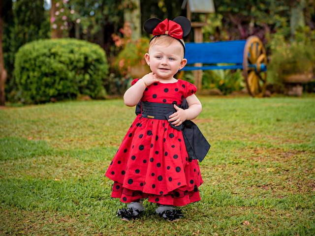 Aniversários de 1 Aninho da Analu