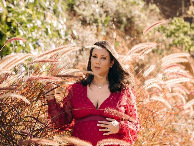 Gestante de Nínive e Nathan