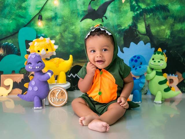 Acompanhamento Mensal Menino de Henrique - 7 meses