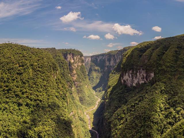 INSTITUCIONAL / EMPRESAS de Praia Grande - SC