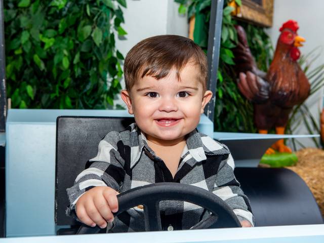 festa infantil de Festa de Aniversário de Theo 1 aninho