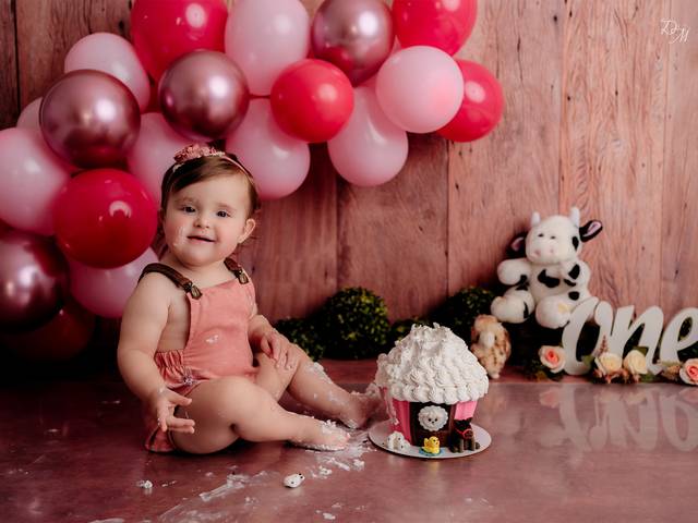 Acompanhamento de Acompanhamento mensal da Isabella