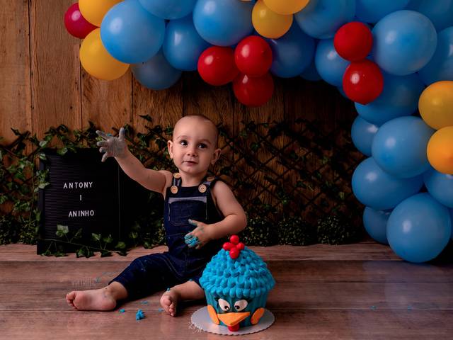 Acompanhamento de Acompanhamento mensal do Antony