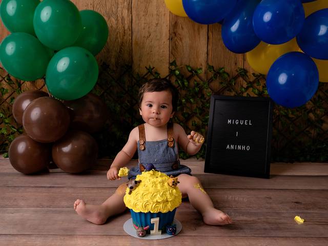 Acompanhamento de Acompanhamento mensal do Miguel