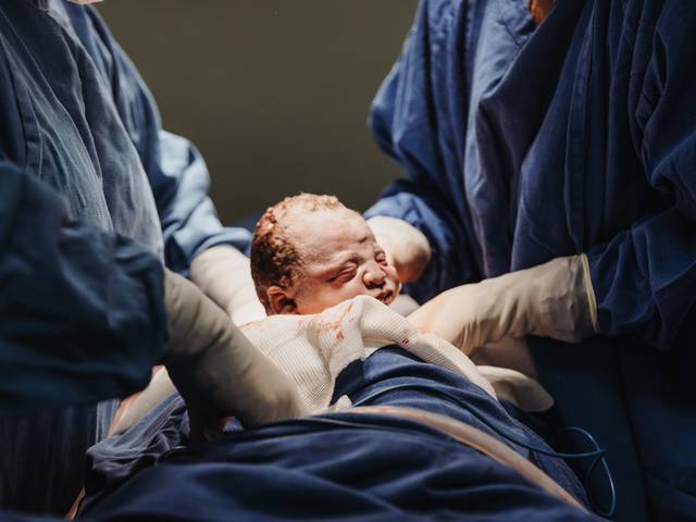 Nascimento de O nascimento do Francisco