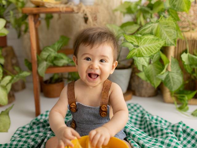 Acompanhamento de Joaquim e as frutinhas