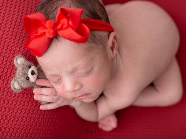 Newborn de Ensaio Newborn da Sophia