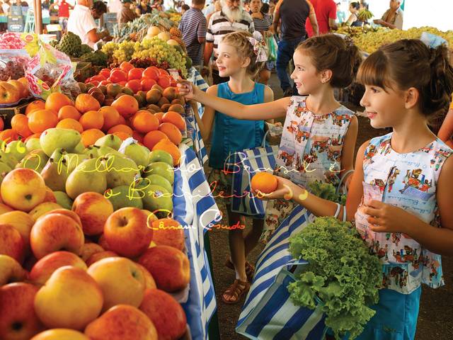 Ensaios of Sinval de Souza Folder