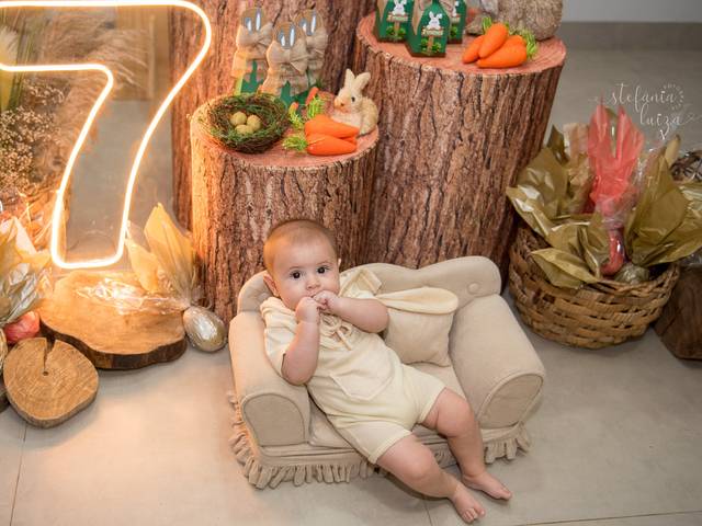 Acompanhamentos de Rafael(7Meses)