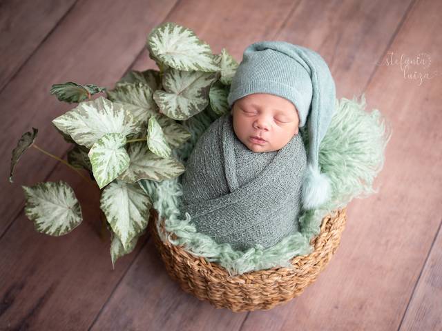 Newborn de Newborn Pedro Henrque