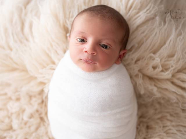 Newborn de Newborn Bento