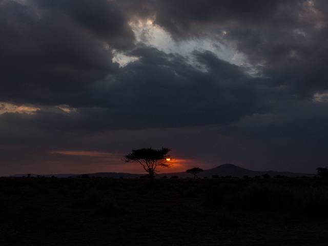 Tanzania&Zanzibar of See you tomorrow Serengeti