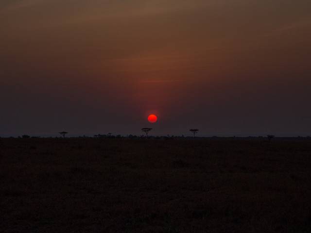 Coloured  of Curiosity: Do you know why the Sun is round?