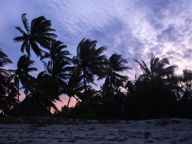 Tanzania&Zanzibar of Back sunset - Pangani