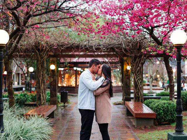 Ensaios fotográficos de Ensaio fotográfico romântico com cerejeiras em Gramado| Praça Major Nicoletti