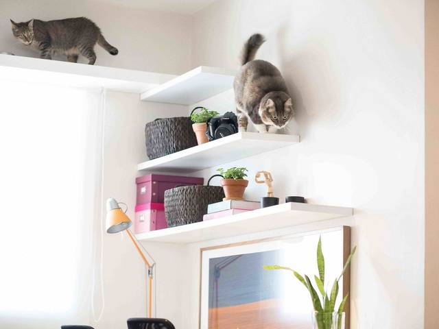 Ambientes & Arquiterura de Arquitetura