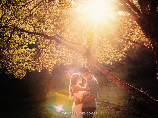 Ensaios de Pré-Casamento de Hellen e Robson - Bugainville Farm - Ensaio Pré-Casamento